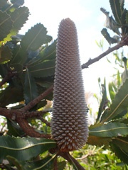 PC263285a.jpg